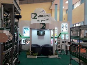 Sima - Zucami, Argelia