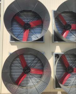ventiladores nave avicola
