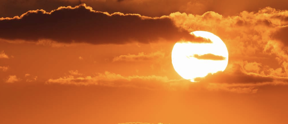 Setembro: Ondas de calor e a importância do ambiente nas avicultura de postura